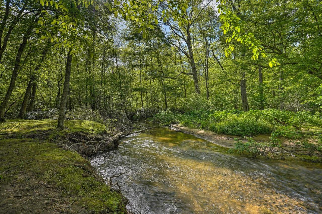 Cozy Tellico Plains Cabin With Large Mountain Creek! Dış mekan fotoğraf