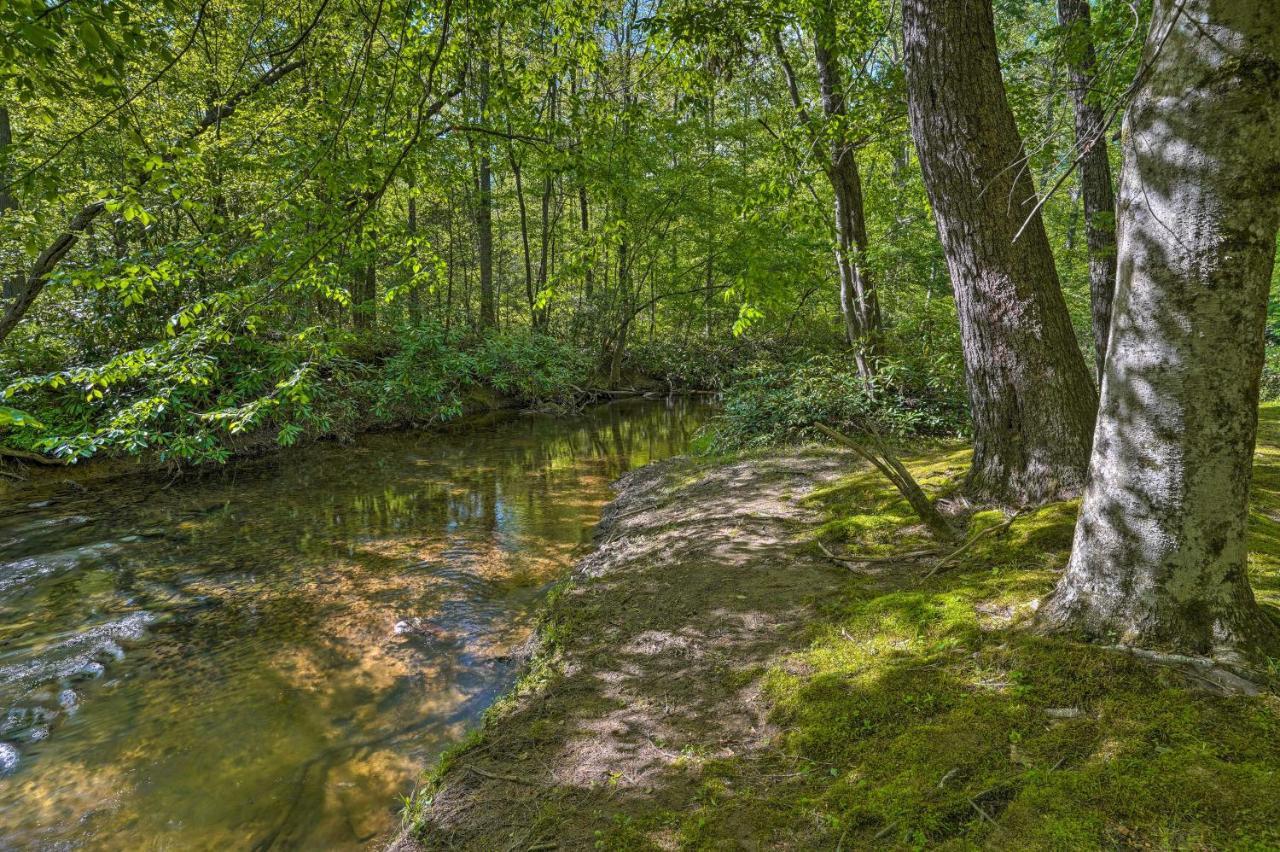 Cozy Tellico Plains Cabin With Large Mountain Creek! Dış mekan fotoğraf